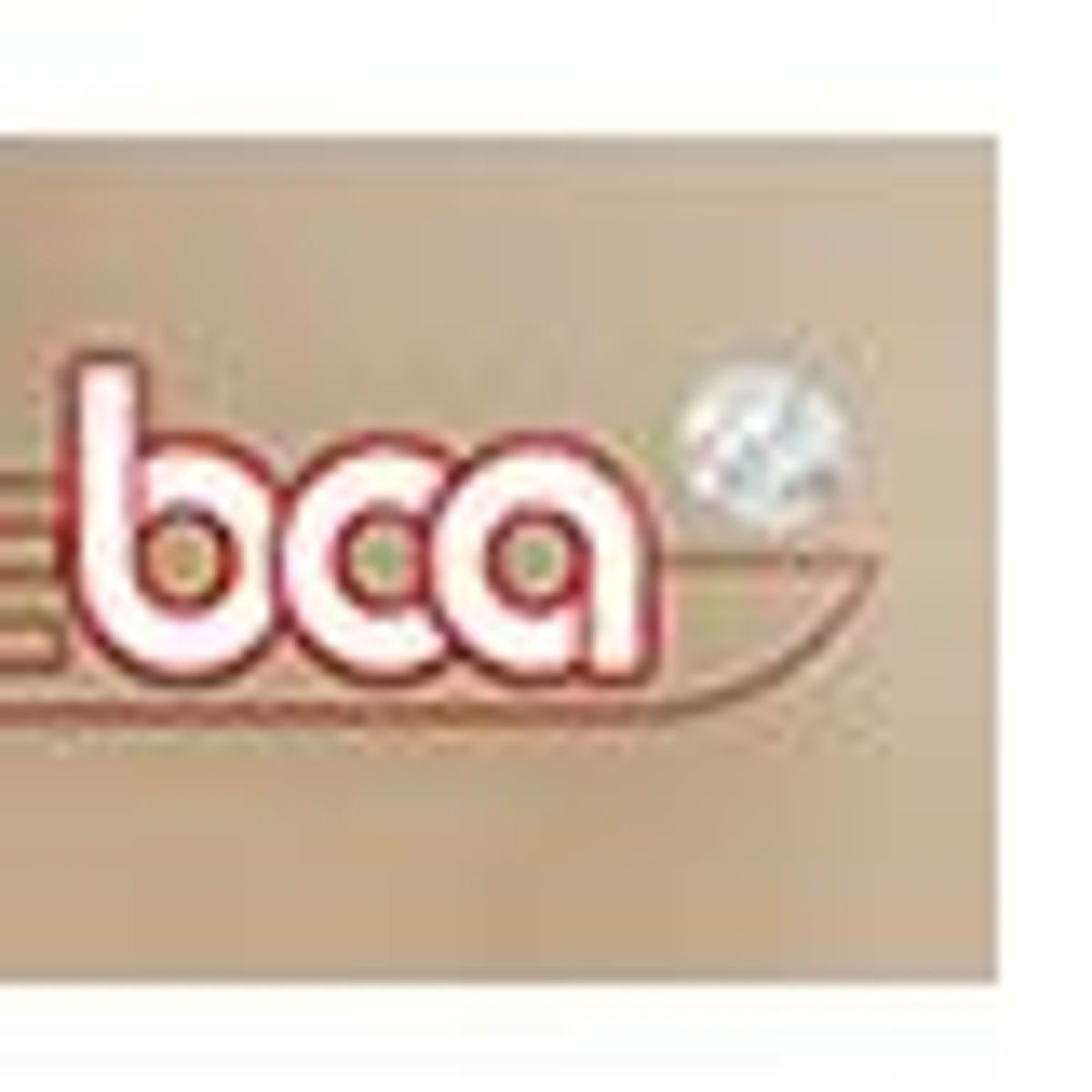 BCA-2.jpg